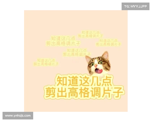 掌握这些视频制作技巧轻松吸引观众提高观看量和互动率 掌握这些视频制作技巧轻松吸引观众提高观看量和互动率