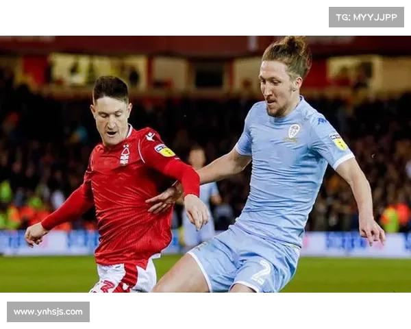 全面解析英冠联赛运作机制及晋级降级规则详解